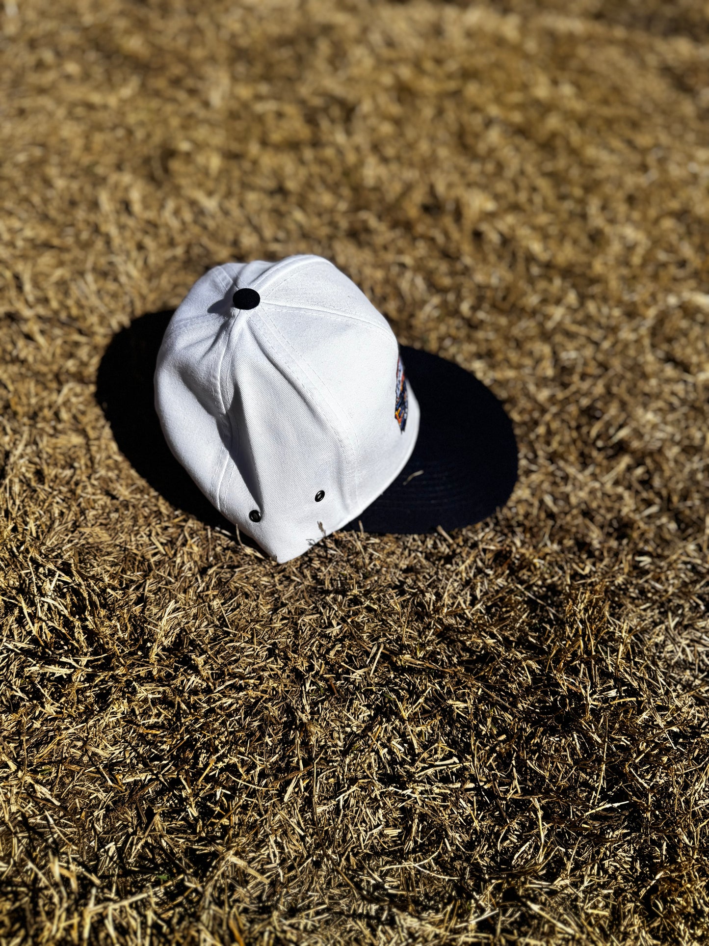 Sandlot EZPZ