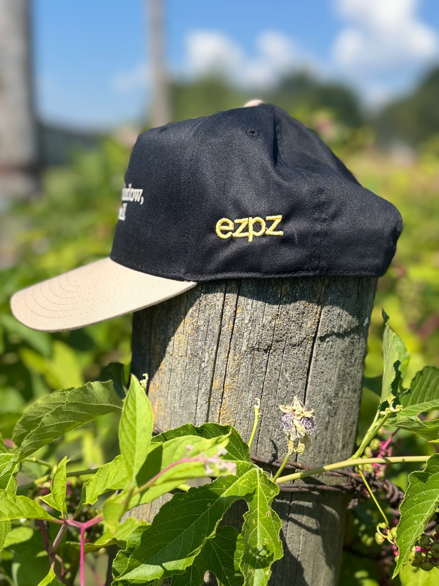 To The Window. To The Wall.