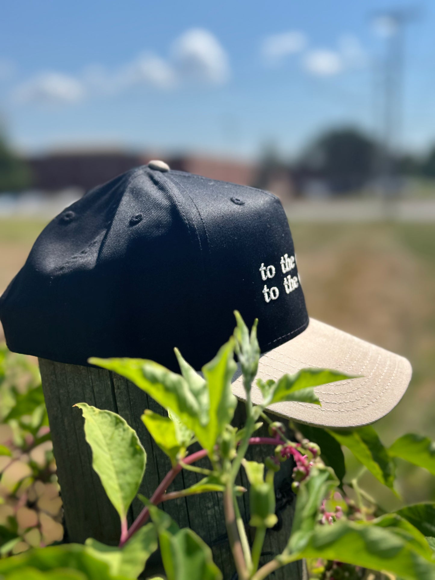 To The Window. To The Wall.