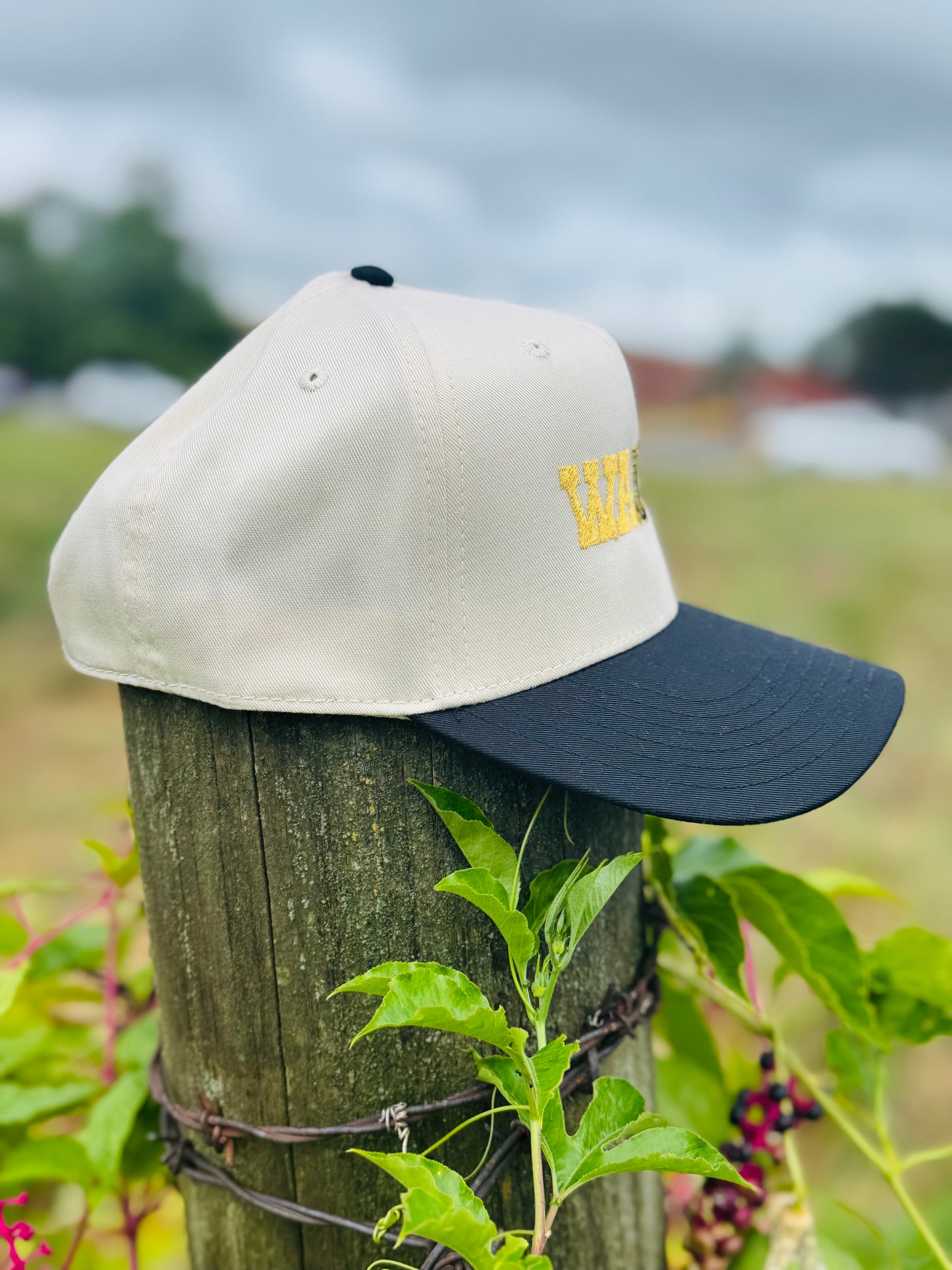 These Boots Were Made For WaLLen