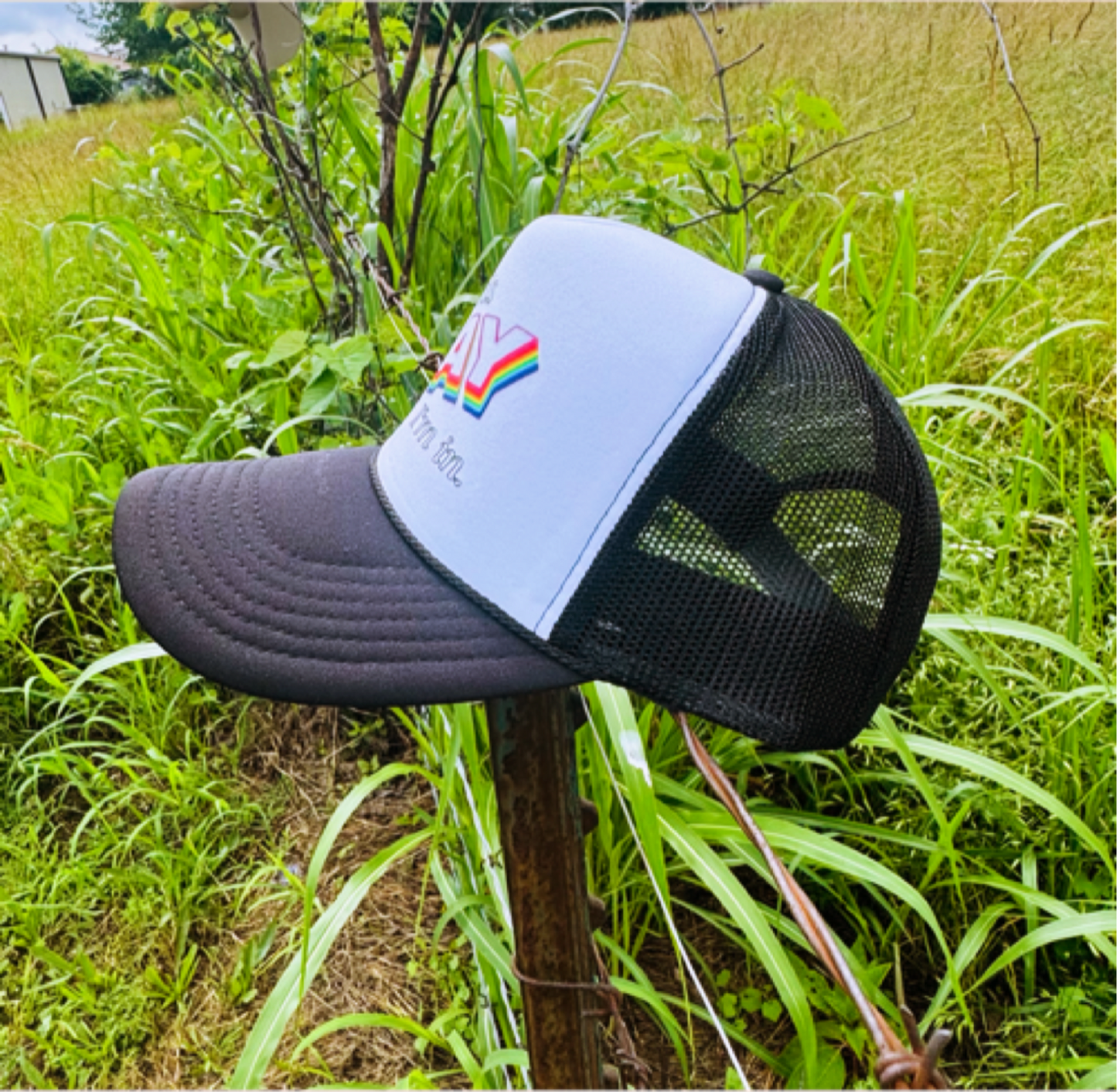 Sounds Gay I'm In — Easy Peasy Outfitters