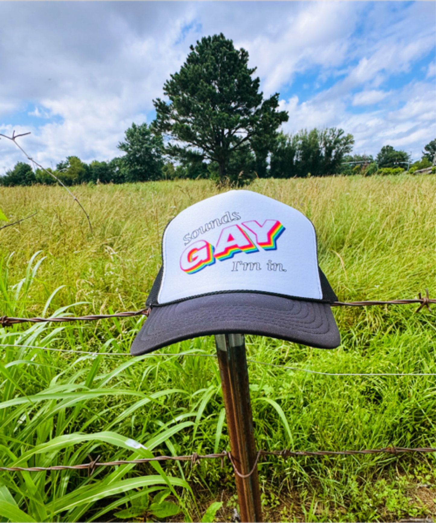 Sounds Gay I'm In — Easy Peasy Outfitters